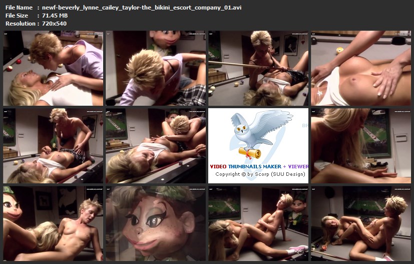tn-newf-beverly_lynne_cailey_taylor-the_bikini_escort_company_01