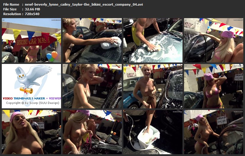 tn-newf-beverly_lynne_cailey_taylor-the_bikini_escort_company_04