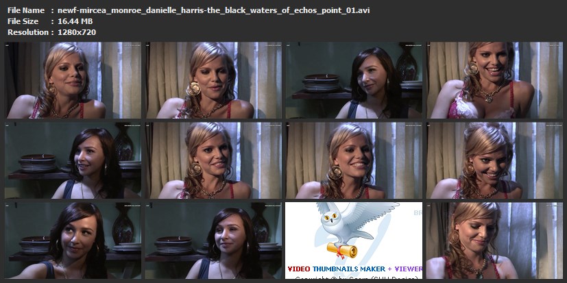 tn-newf-mircea_monroe_danielle_harris-the_black_waters_of_echos_point_01