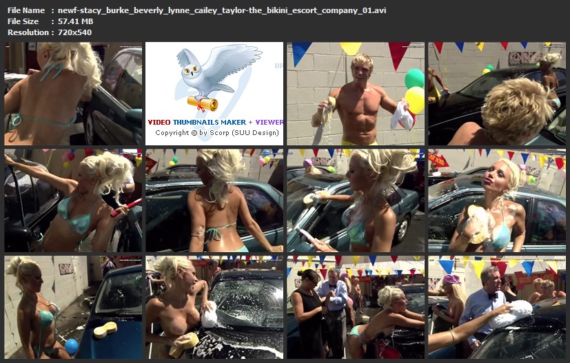 tn-newf-stacy_burke_beverly_lynne_cailey_taylor-the_bikini_escort_company_01