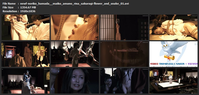 tn-newf-noriko_hamada__maiko_amano_rina_sakuragi-flower_and_snake_zero_01