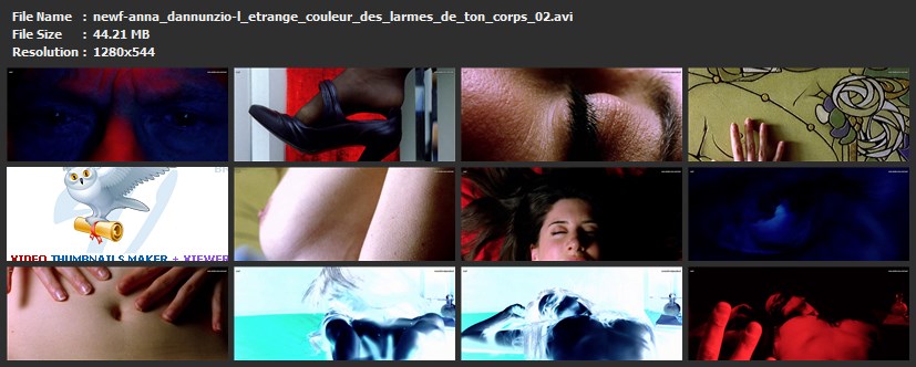 tn-newf-anna_dannunzio-l_etrange_couleur_des_larmes_de_ton_corps_02