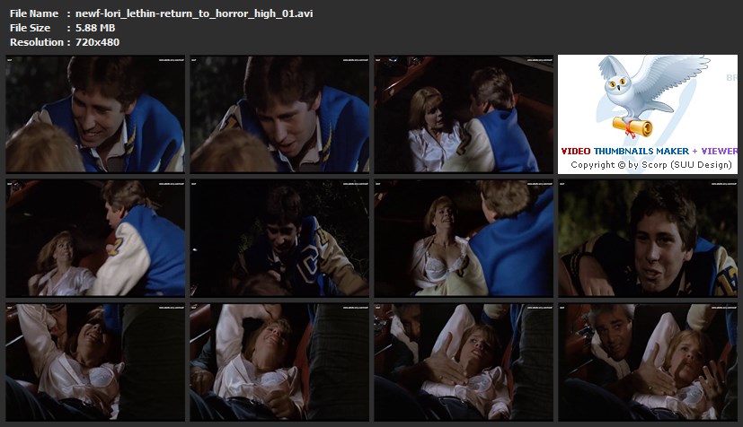 tn-newf-lori_lethin-return_to_horror_high_01