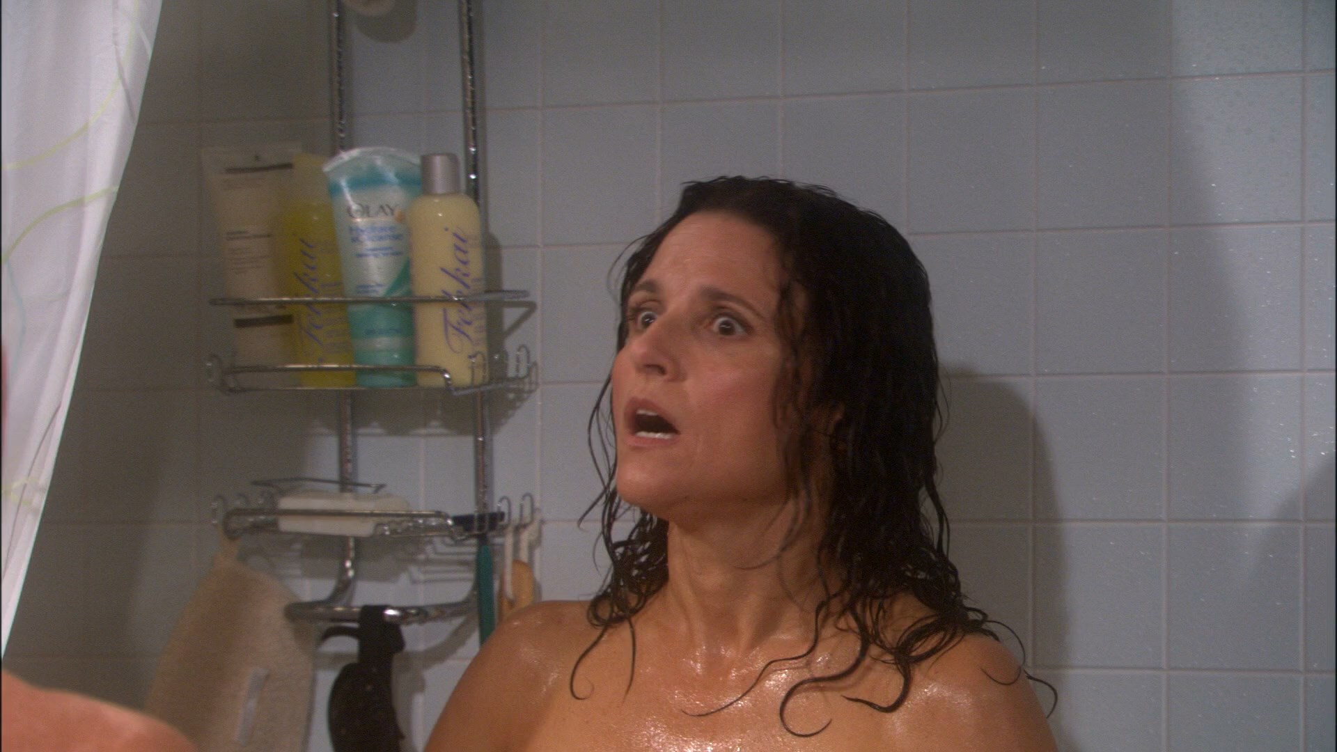 Julia Louis-Dreyfus Sex Scene