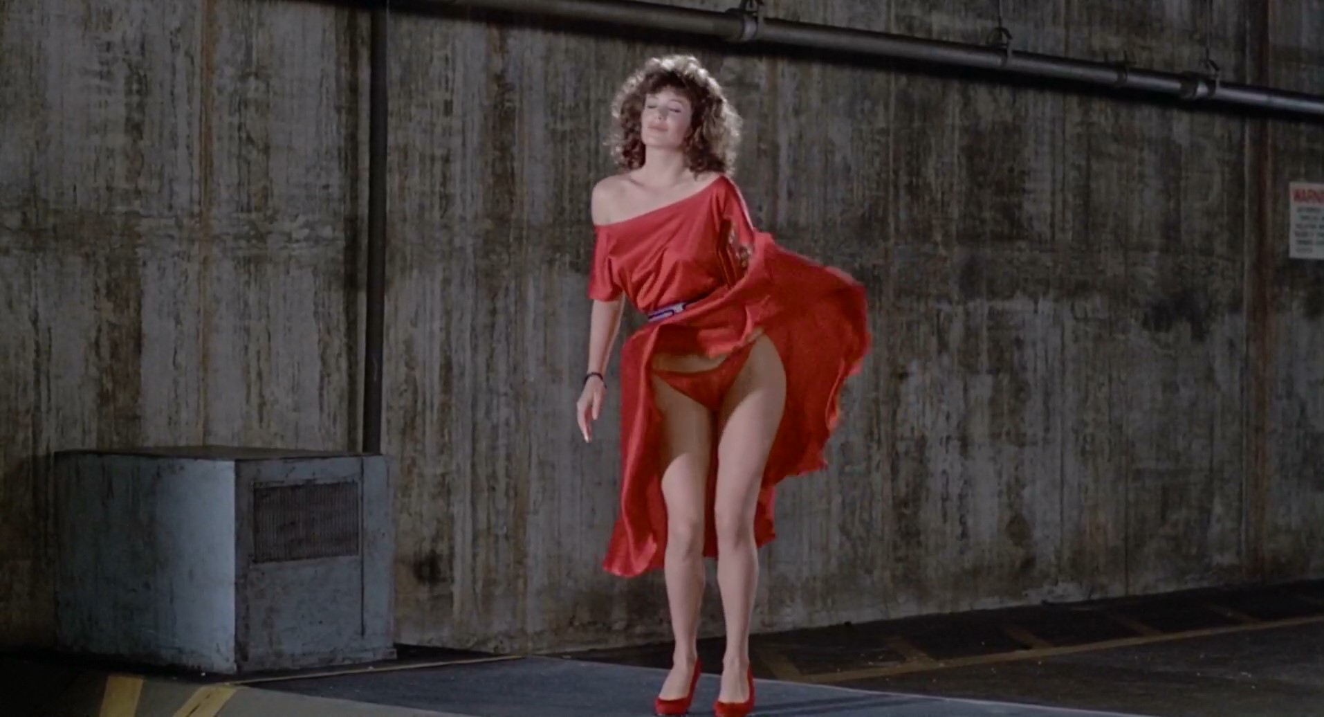 Kelly LeBrock - The Woman in Red (1984) HD 1080p