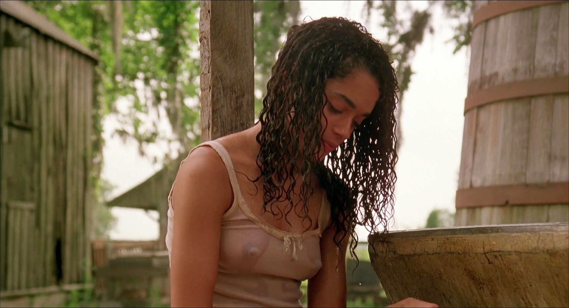 Lisa bonet nude ray donovan